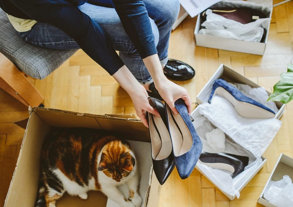 Top view of a woman unboxing several pairs of new pumps, her pet cat taking up an empty box