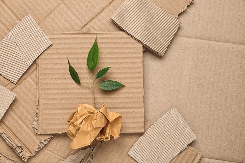 amazon product launch services green packaging image