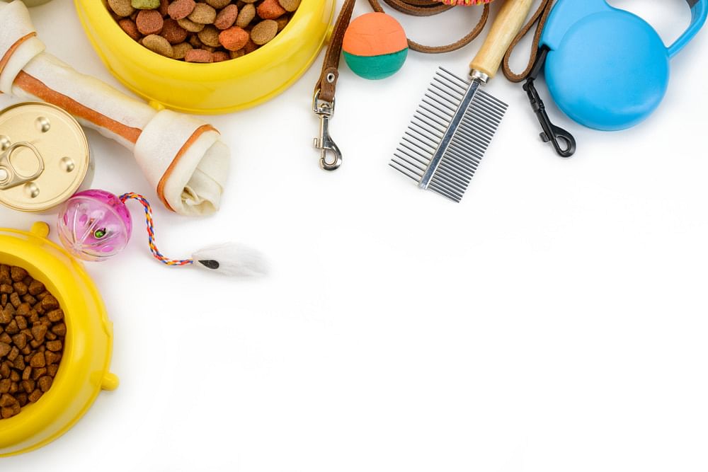 assorted pet supplies on a white background