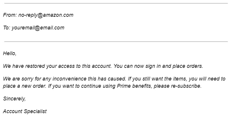 a sample format of a successful Amazon reinstatement letter